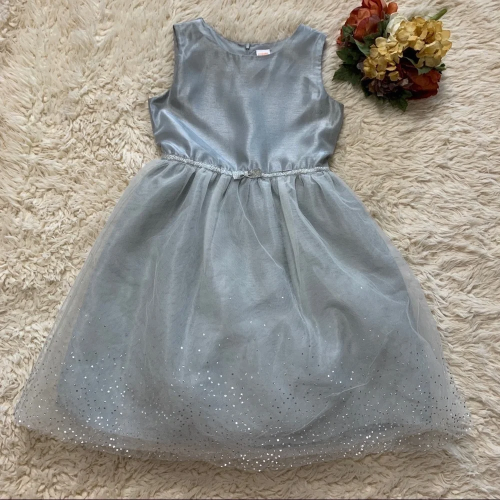 Gymboree Gray Sparkly Taffeta Tulle Formal Dress